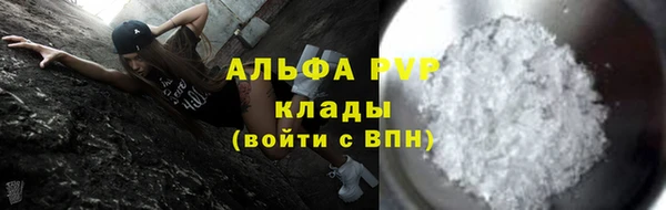 крисы Гусев