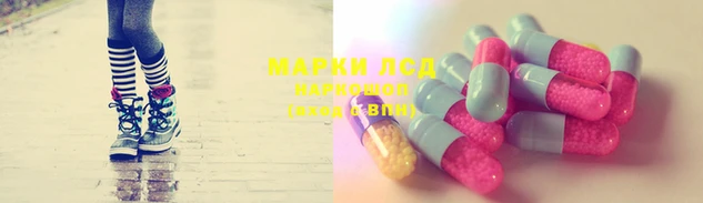крисы Гусев