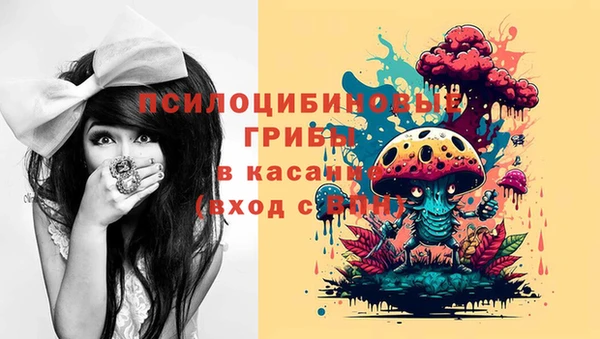 крисы Гусев
