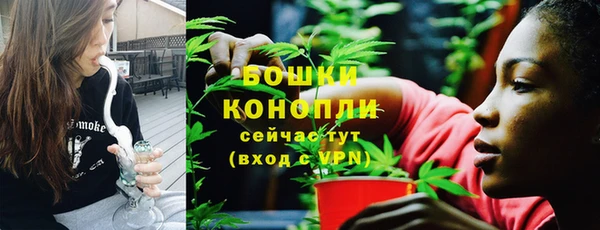 крисы Гусев