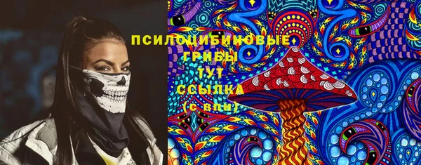 крисы Гусев