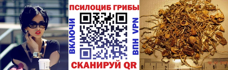 Галлюциногенные грибы Cubensis  цена   Новый Оскол 